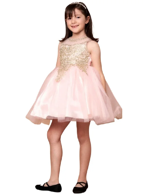 Fashionable Tops for Women Little Girls Blush Gold Embroidered Illusion Neckline Flower Girl Dress 4-6